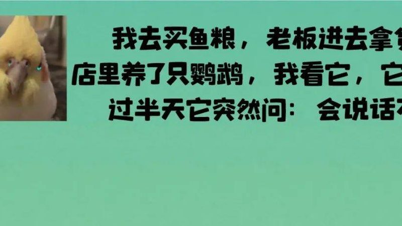 食品招商会物料准备：清单与关键要点解析
